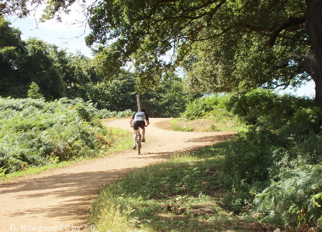 Cycling in Wimbledon